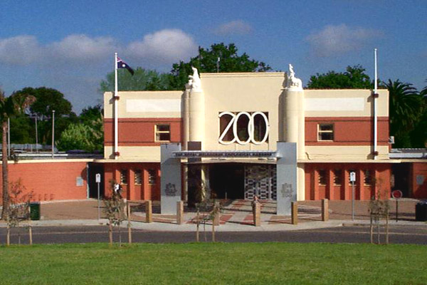 What to do in Melbourne - Melbourne Zoo - Just Take The Kids